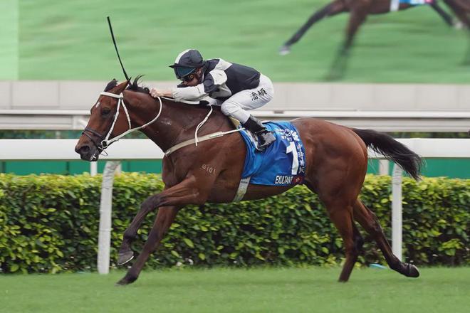 戴眼罩夺魁家族曾养香港马王九游会j9登陆王经纬赛驹